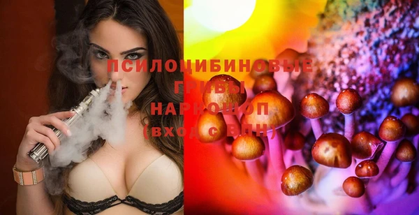 прущая мука Пересвет